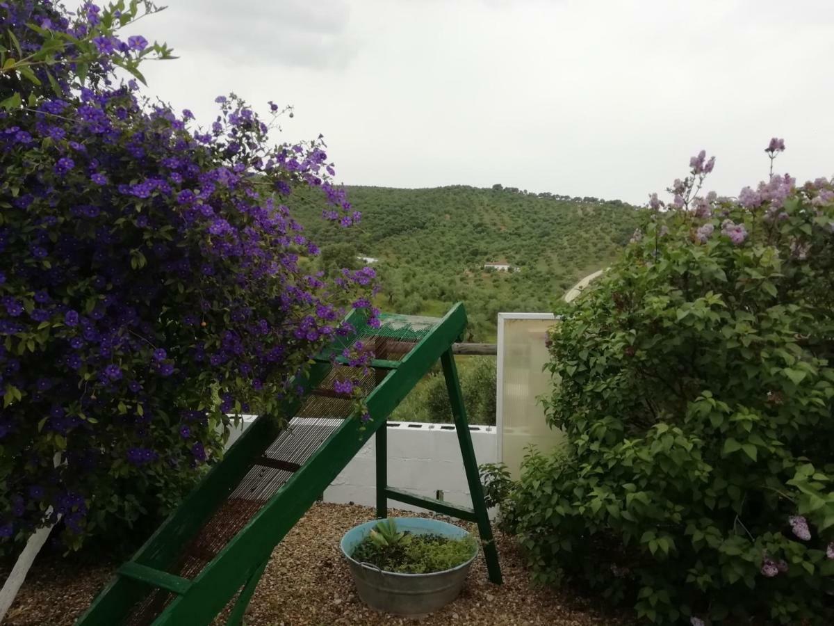 Alojamiento Rural La Perdiz ลา ปัวบลา เด ลอส อินฟานเตส ภายนอก รูปภาพ